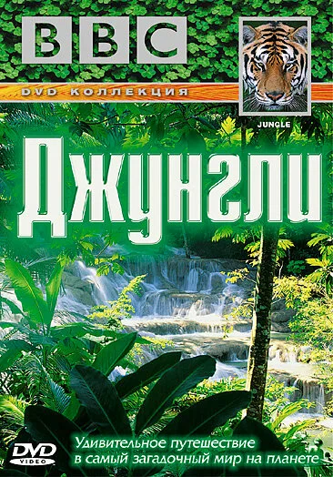 BBC: Джунгли (сериал 2003)