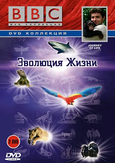 BBC: Эволюция жизни (сериал 2005)