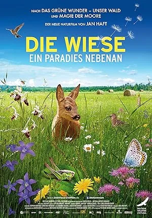 Die Wiese (2019)