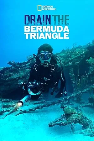 Drain the Bermuda Triangle (2014)