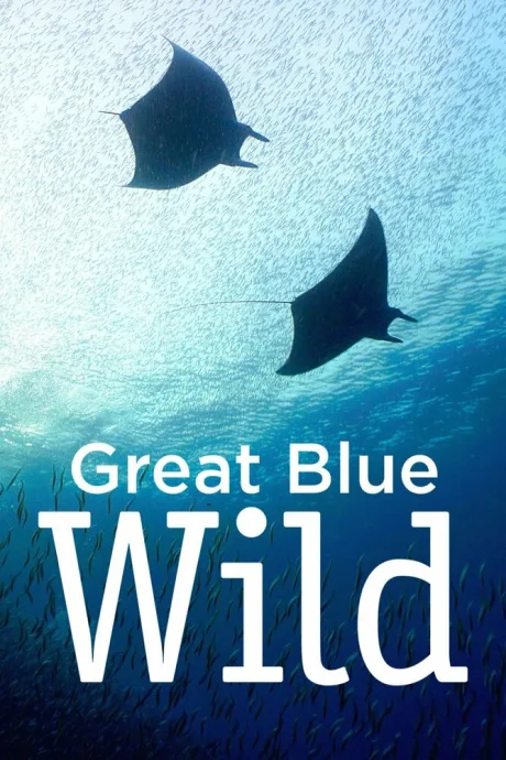 Great Blue Wild (сериал 2015)