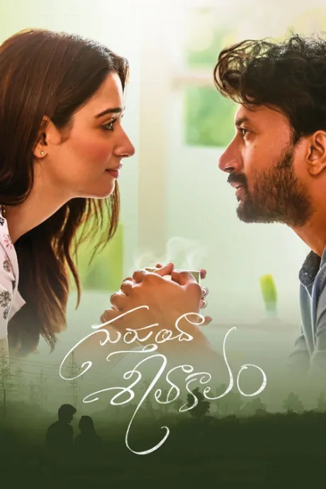 Gurthunda Seethakalam (2022)