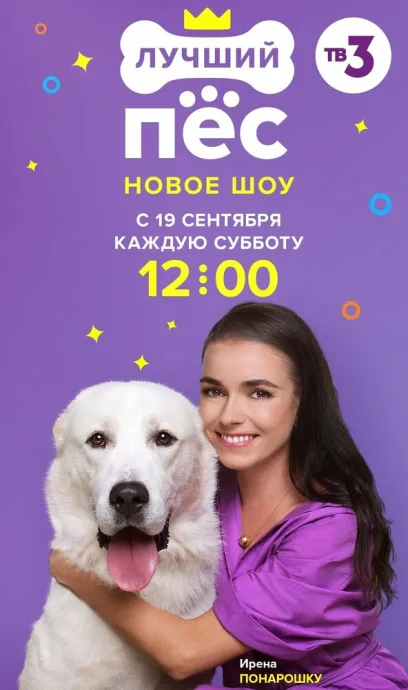 Лучший пес (сериал 2020)