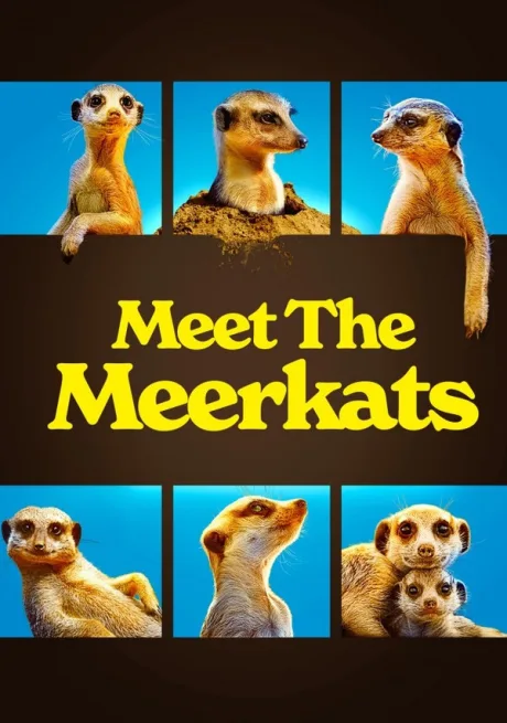 Meet the Meerkats (сериал 2021)