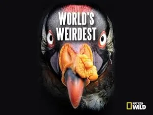 National Geographic. Самые странные в мире (сериал 2011)