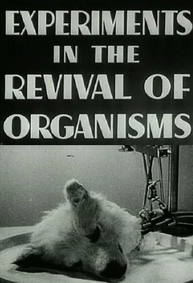 Опыты по оживлению организмов (1940)