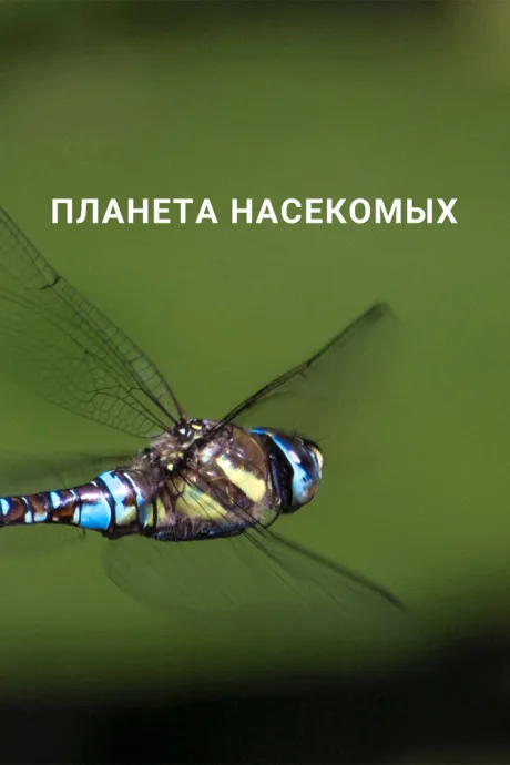 Планета насекомых (сериал 2022)