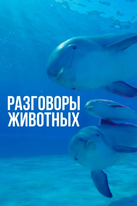 Разговоры животных (сериал 2018)