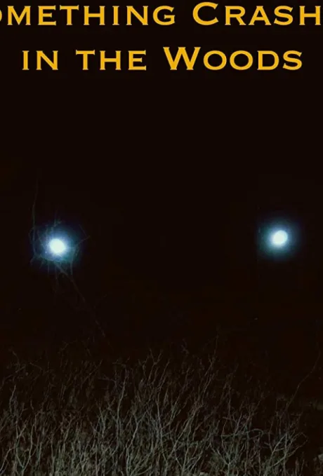 Something Crashed in the Woods (2019)