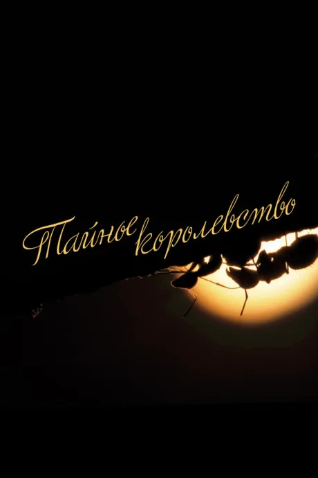 Тайное королевство (сериал 2019)