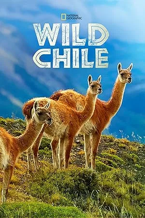 Wild Chile (сериал 2018)