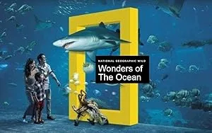 Wonders of the Ocean (2019)