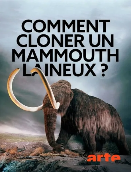 Woolly Mammoth: The Autopsy (2014)