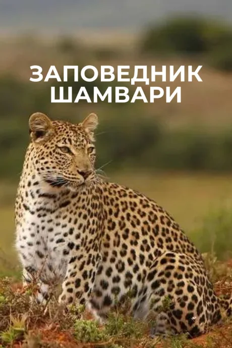 Заповедник Шамвари (сериал 2018)